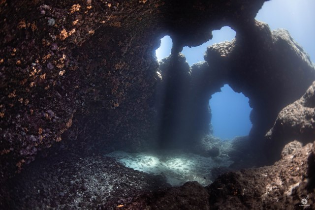 The Underwater Gallery: η υποθαλάσσια έκθεση φωτογραφίας