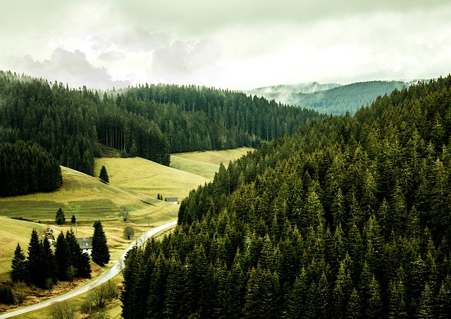 Μέλανας Δρυμός: Η μεγάλη δασώδης οροσειρά